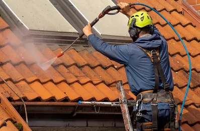 Démoussage et hydrofuge de toiture à Aougny